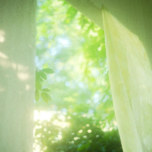 起碰免费视频97网站
