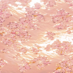 起碰免费视频97网站
